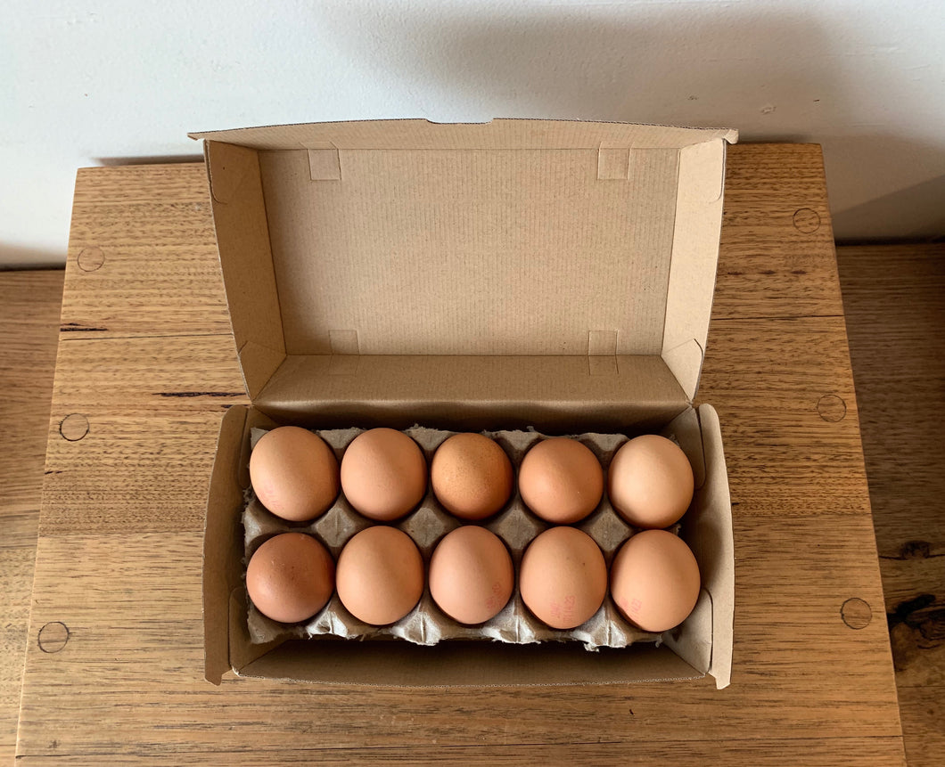 Free range eggs - 10 pack